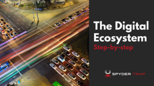 Digital ecosystem step-by-step | Spyder Trap