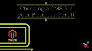 Content Management System Magento for ecommerce