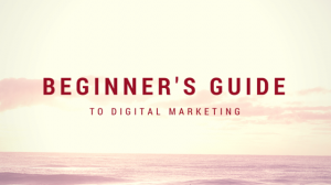 Beginner's Guide to Digital Marketing | Spyder Trap