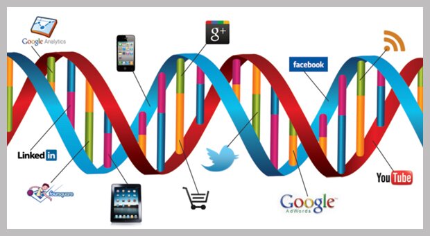 st-digital-dna-620 Digital marketing DNA of Spyder Trap