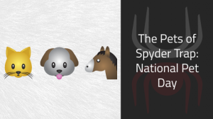 pets-of-spyder-trap
